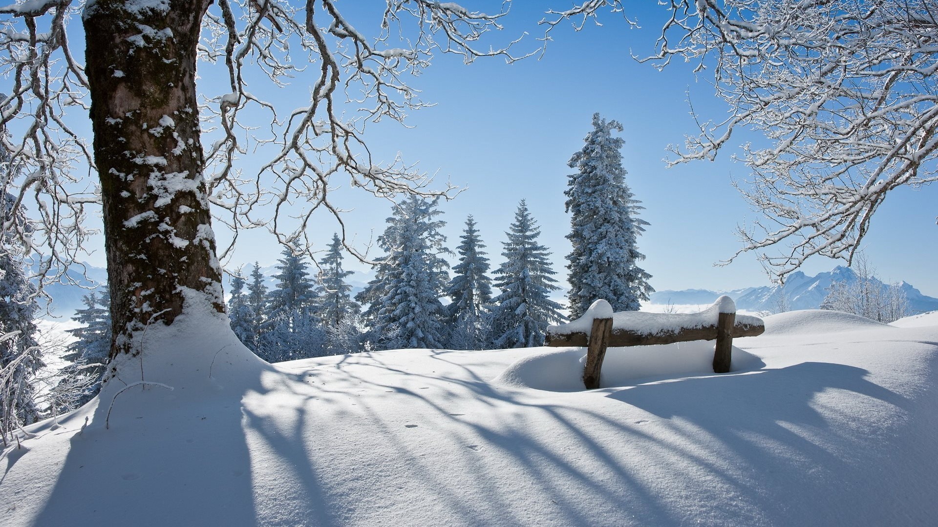 6 College Tasks to Complete over the Holiday Breaks things to do over winter break
