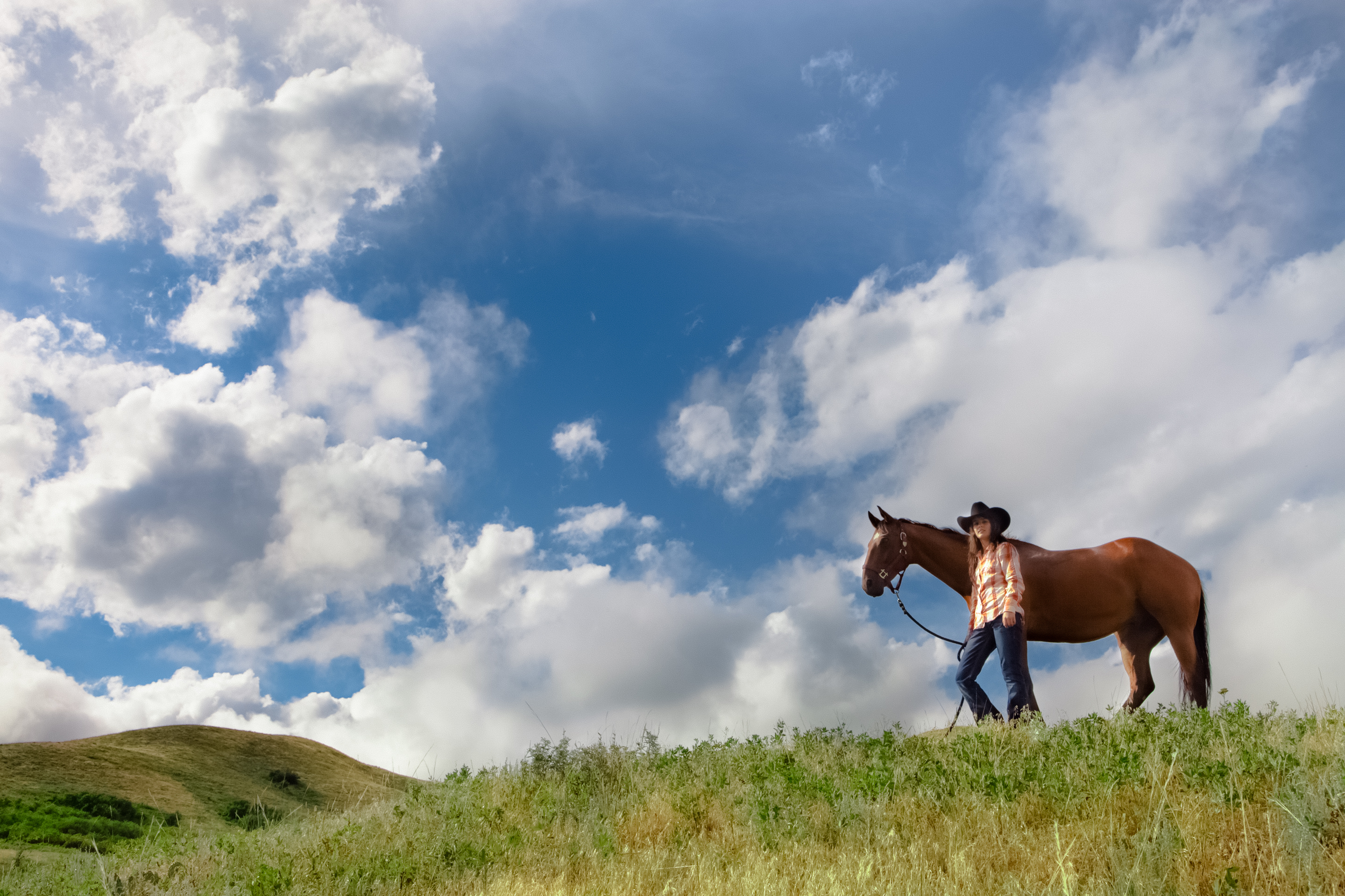 Discover How Life on a Working Cattle Ranch Can Help Your Struggling Teen At Turn-About Ranch, each student is assigned a horse to care for on the ranch.