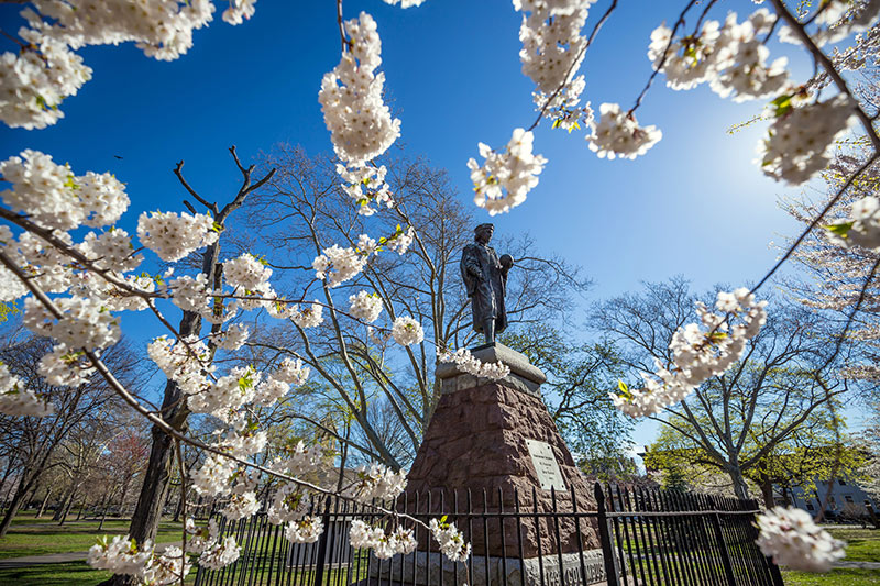 How to spend your summer at an Ivy League School ivy league summer programs