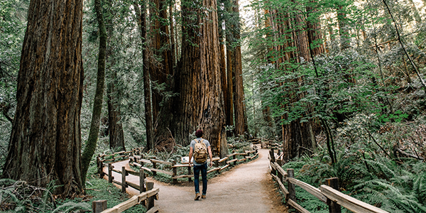 Should You Take a Gap Year or Go to College in Fall 2020? Should You Take a Gap Year or Go to College in Fall 2020?