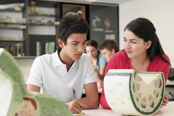 Why Write? How Writing Makes STEM Students Stronger Why Write? How Writing Makes STEM Students Stronger
