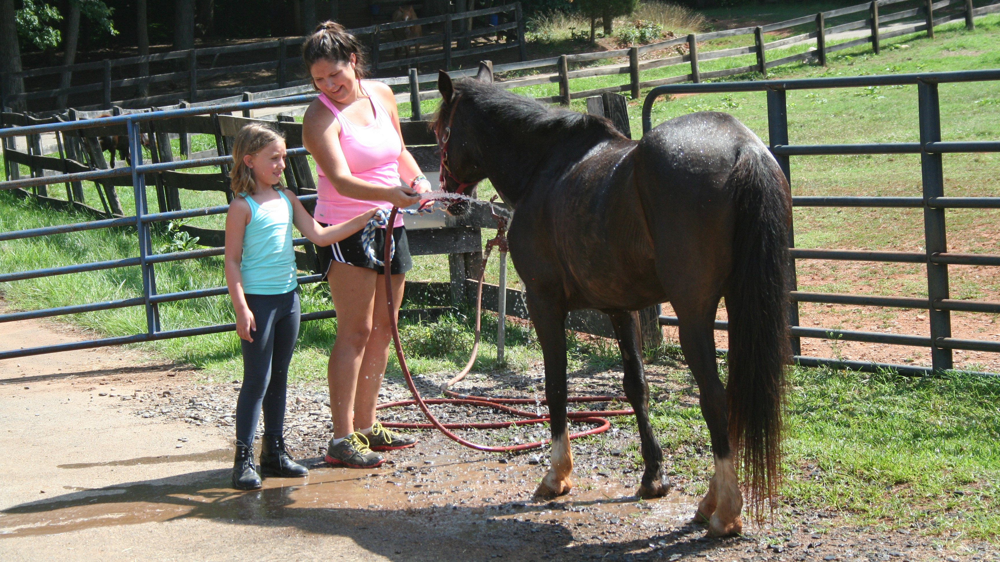 Summer Program Equestrian Camp at Camp Friendship on TeenLife