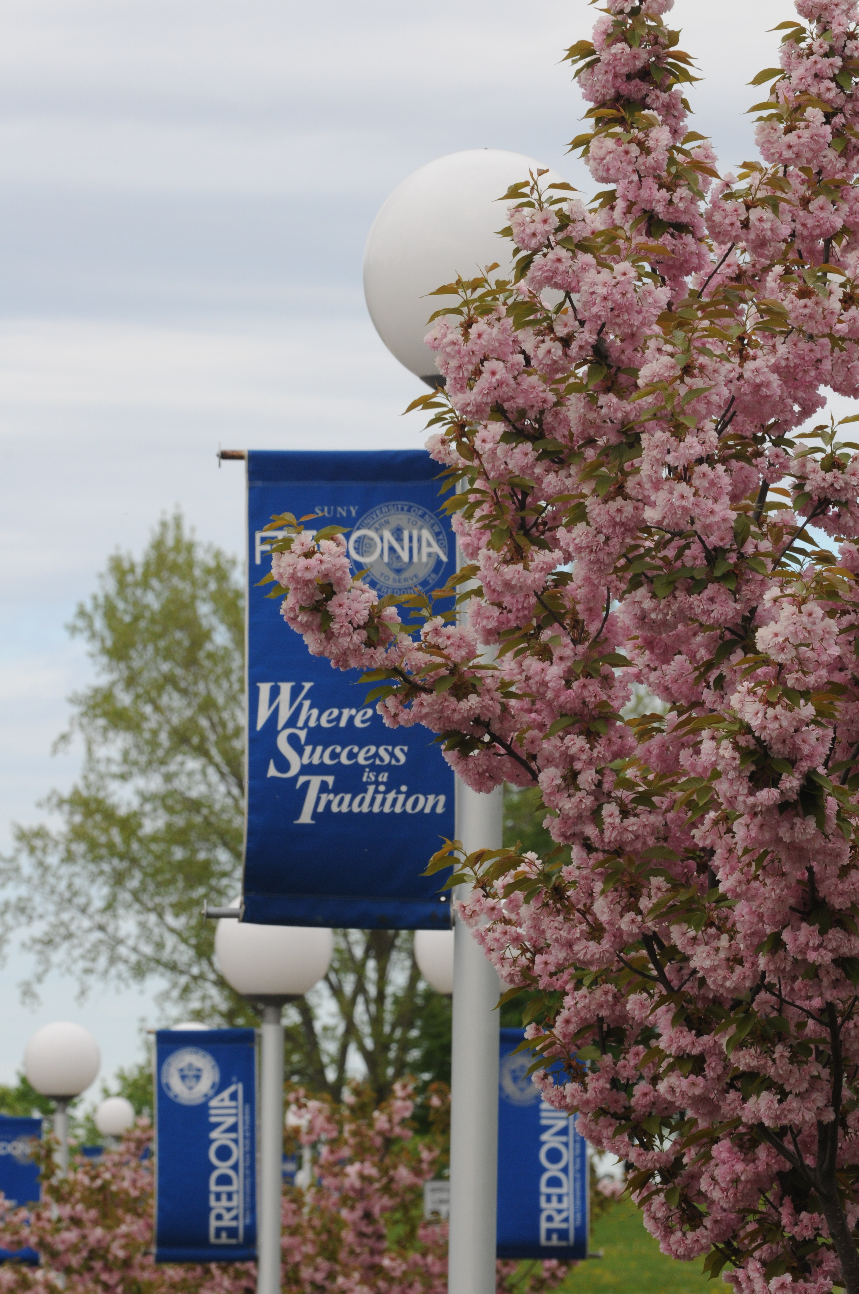College State University of New York (SUNY) Fredonia on TeenLife